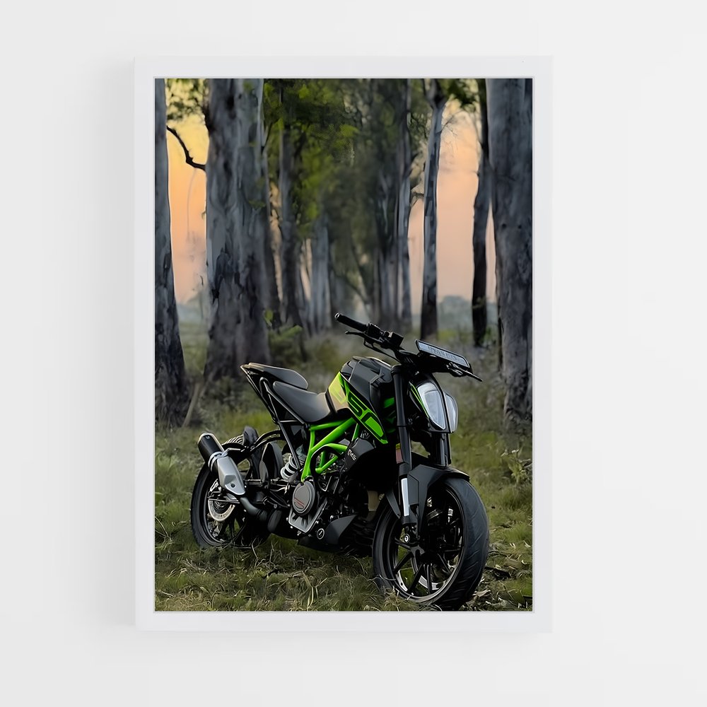 Poster L'Aventure Verte – affiche KTM Moto (vue 3)